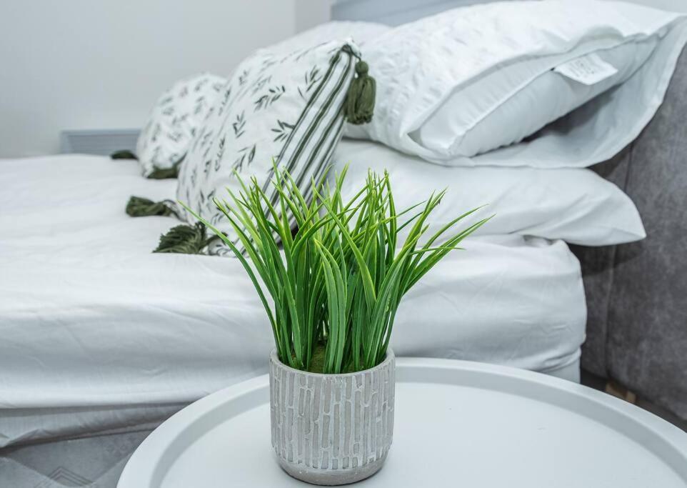 Aylesbury Apartment 1 With Free Parking Εξωτερικό φωτογραφία